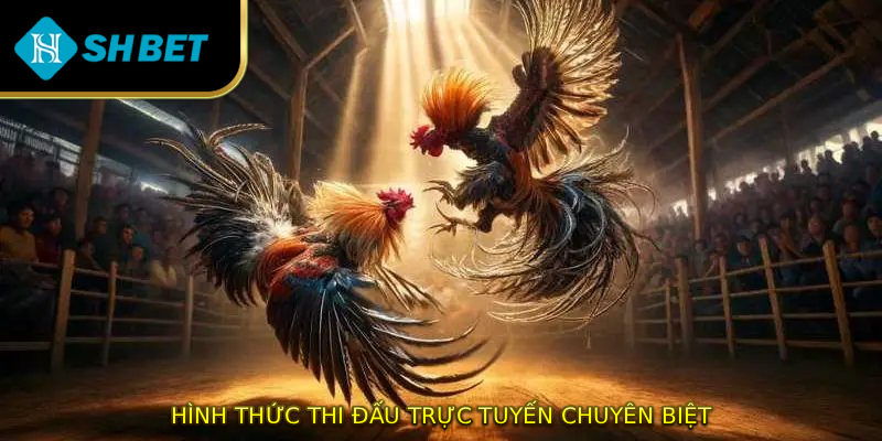 Hình thức thi đấu trực tuyến chuyên biệt