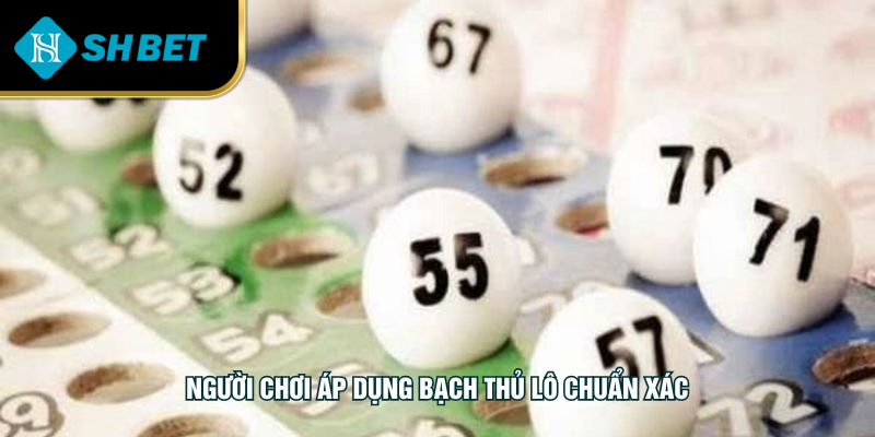 Người chơi áp dụng bạch thủ lô chuẩn xác