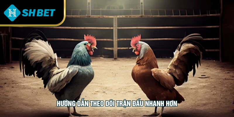 Hướng dẫn theo dõi trận đấu nhanh hơn