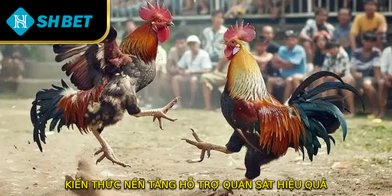 Kiến thức nền tảng hỗ trợ quan sát hiệu quả