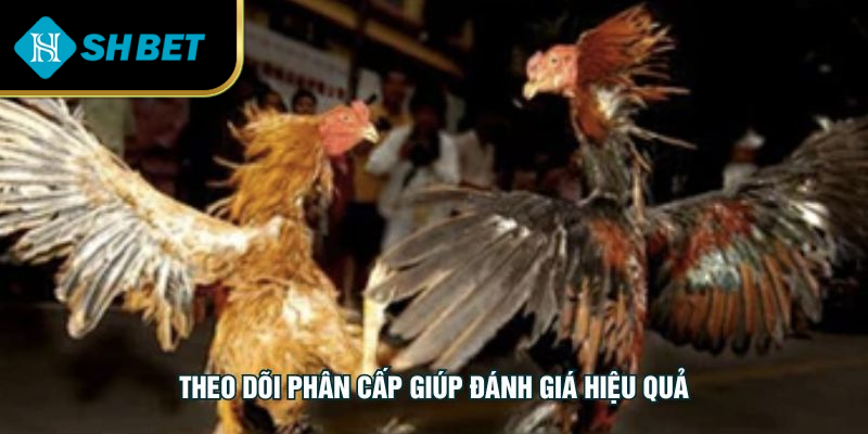 Theo dõi phân cấp giúp đánh giá hiệu quả